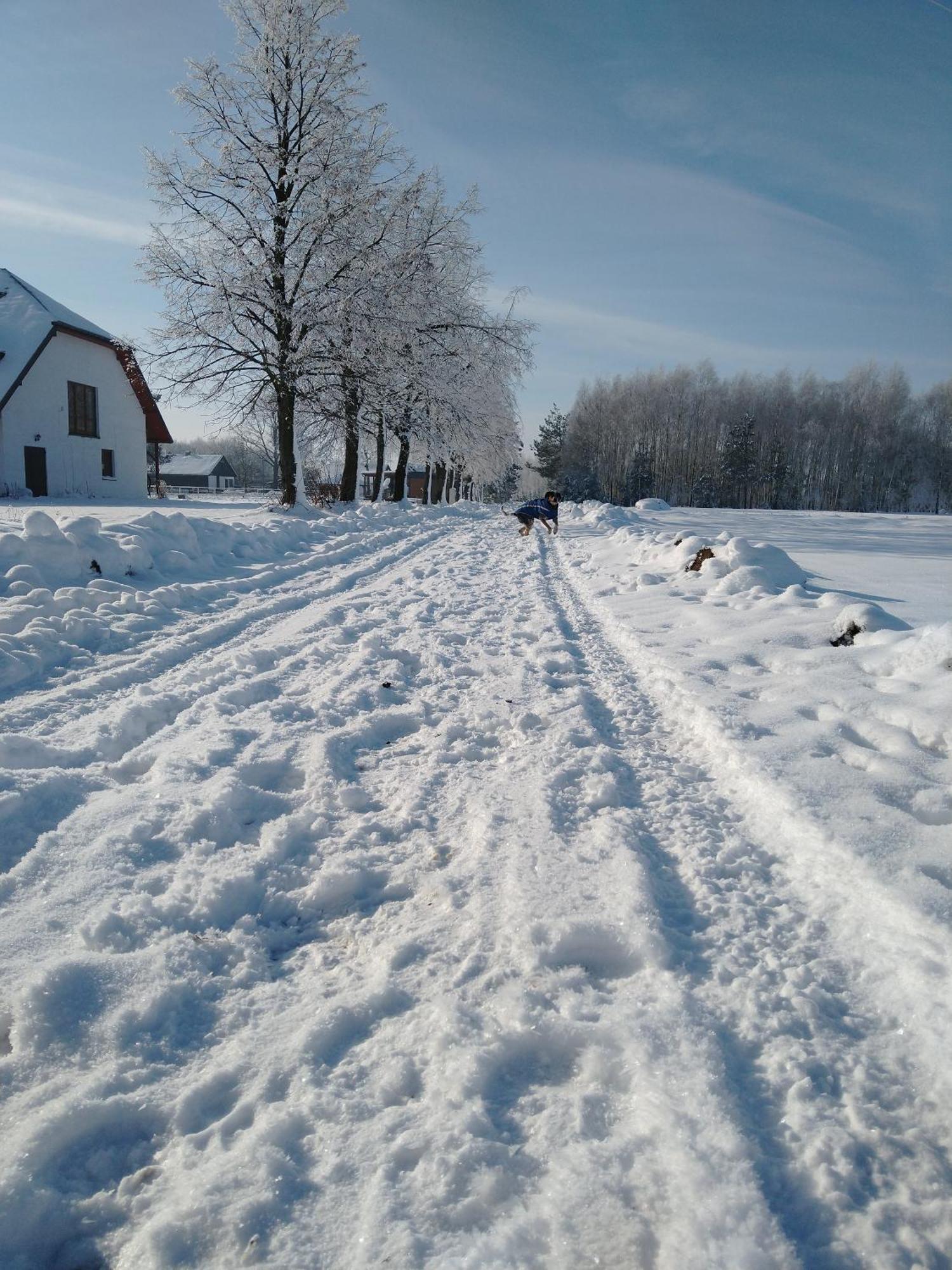 Domek Przy Stajni Bogdanowka Caloroczny Rossosz Exterior photo